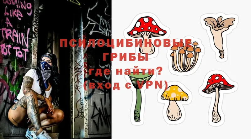 Галлюциногенные грибы Psilocybine cubensis  MEGA как зайти  Владикавказ  купить закладку 